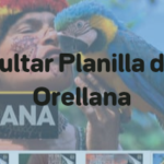 planilla de luz orellana
